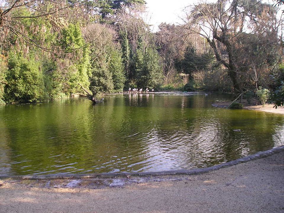 Bioparco di Roma (Zoo von Rom) 2/3