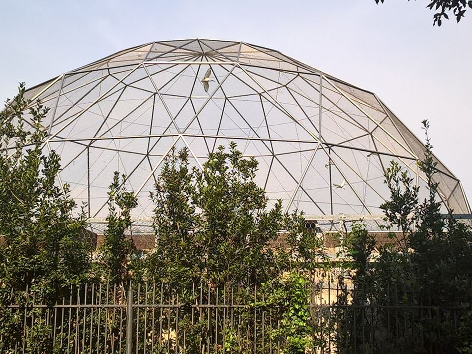 Bioparco di Roma (Zoo von Rom) 3/3